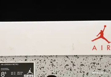 - RETRO JORDAN 4 SB 0605